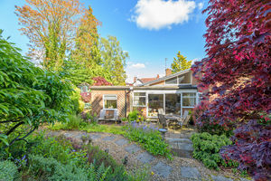 Garden- click for photo gallery